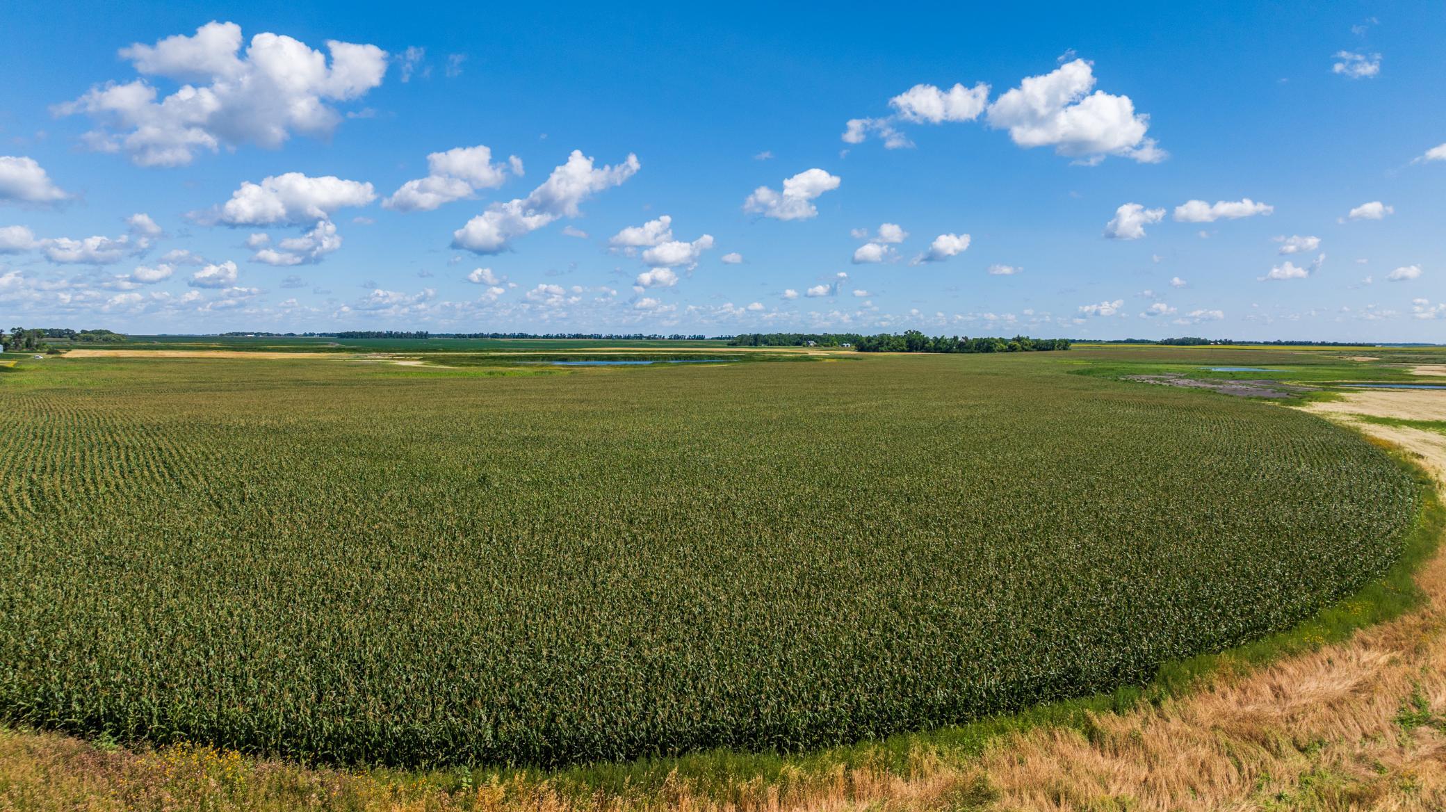 Property photo for TBD 15 St SE Lot 1, Wimbledon, ND 58492