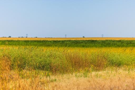 TBD 15 St SE Lot 1, Wimbledon, ND 58492