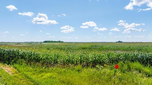TBD 97 Ave SE Lot 2, Wimbledon, ND 58492