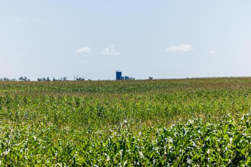 TBD 97 Ave SE Lot 2, Wimbledon, ND 58492