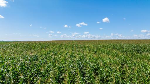 TBD 97 Ave SE Lot 2, Wimbledon, ND 58492