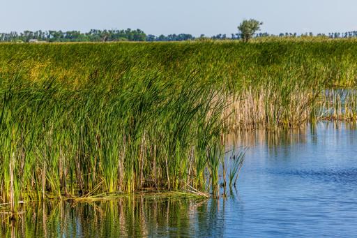 TBD 97 Ave SE Lot 2, Wimbledon, ND 58492