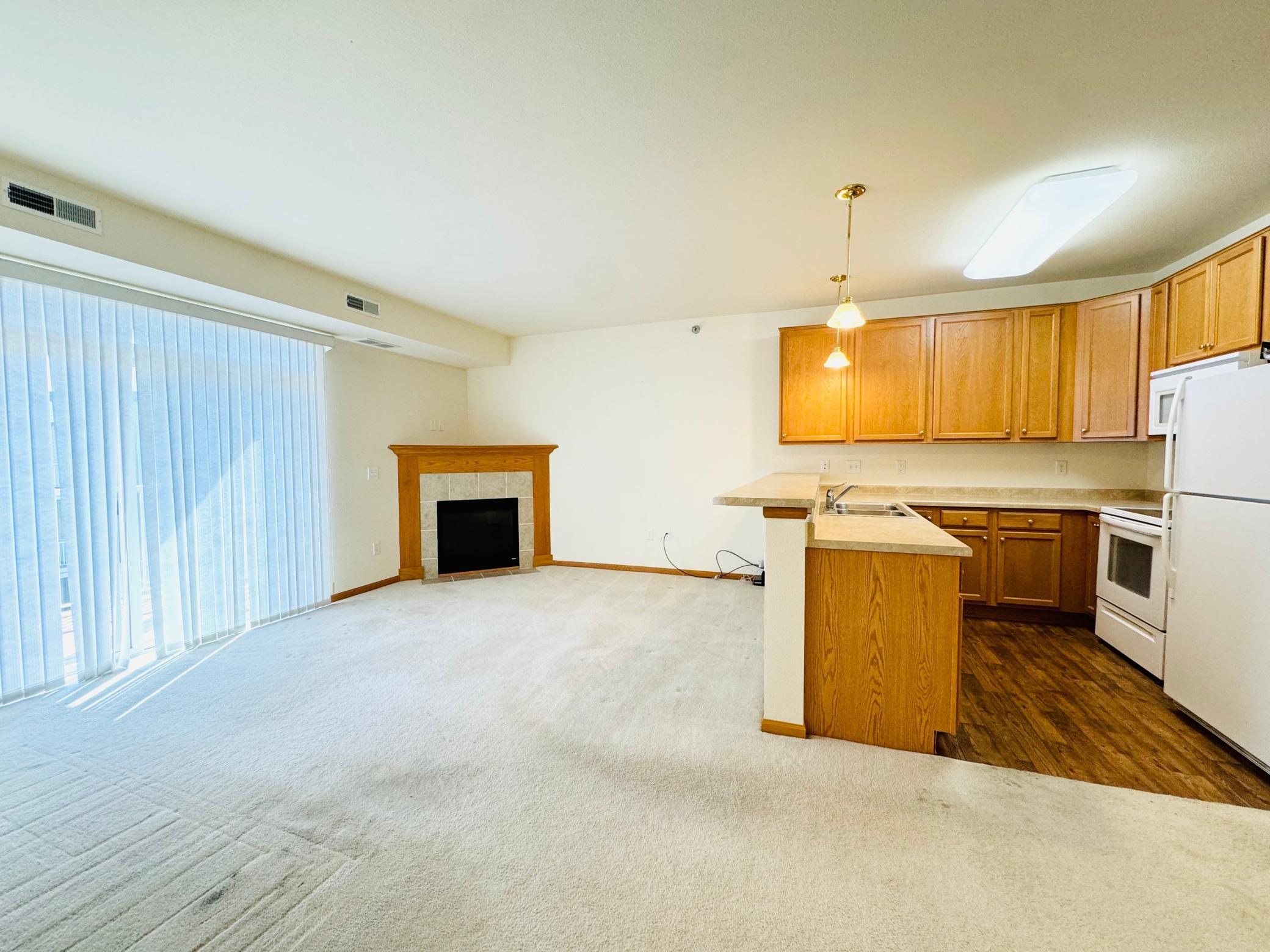 Living room Kitchen 3.jpg