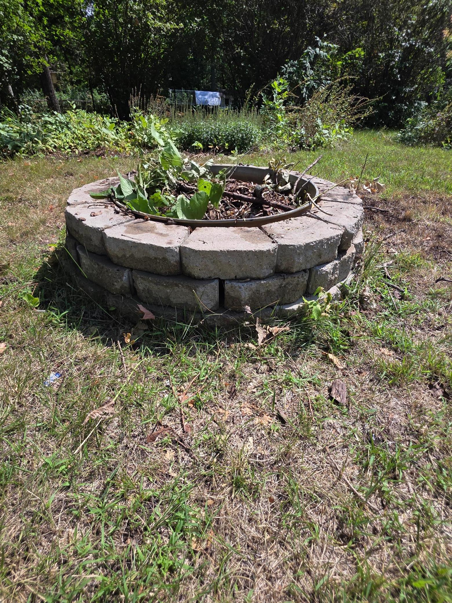 20260820_122655.jpg