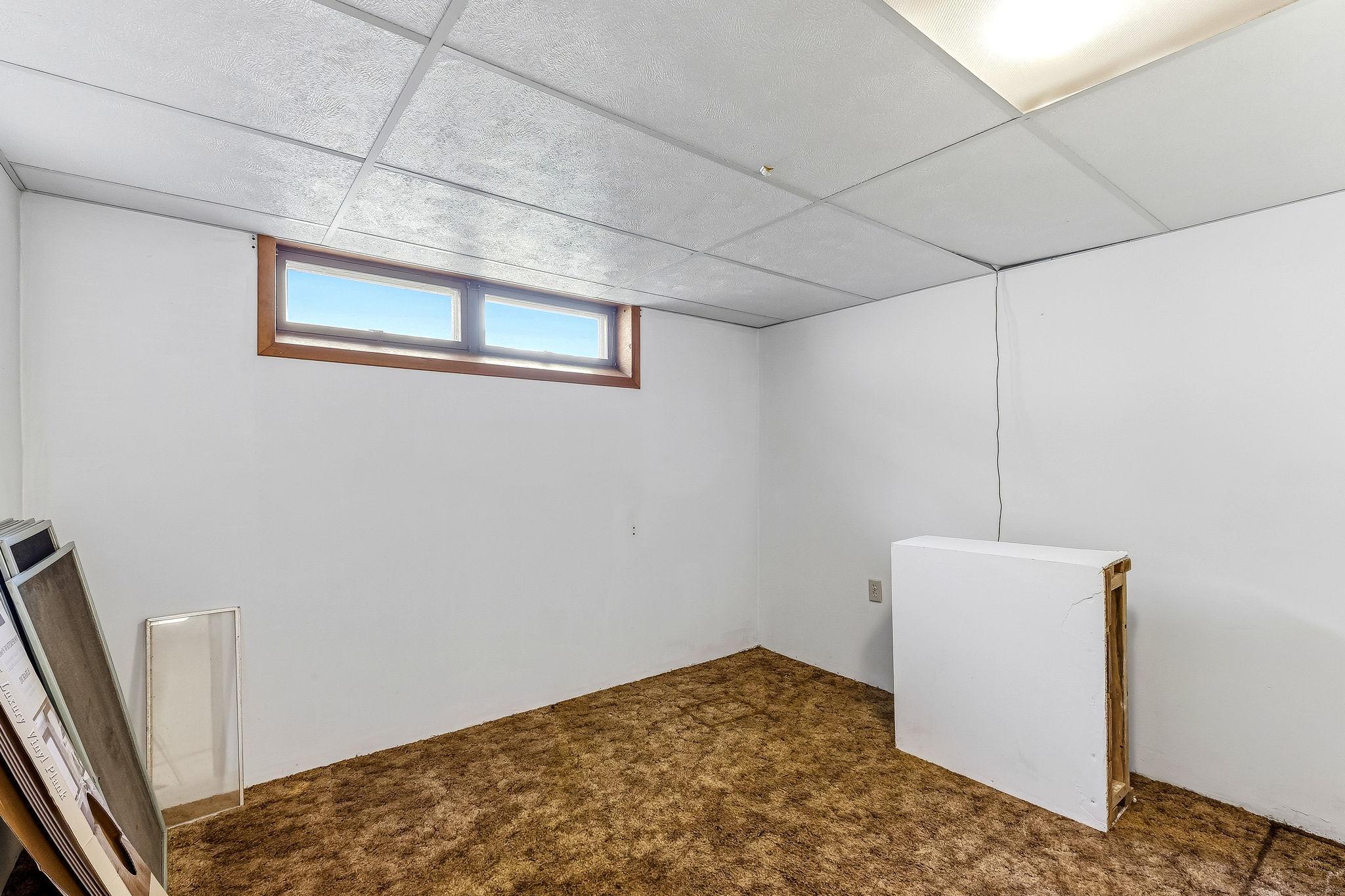 Bonus room in lower level