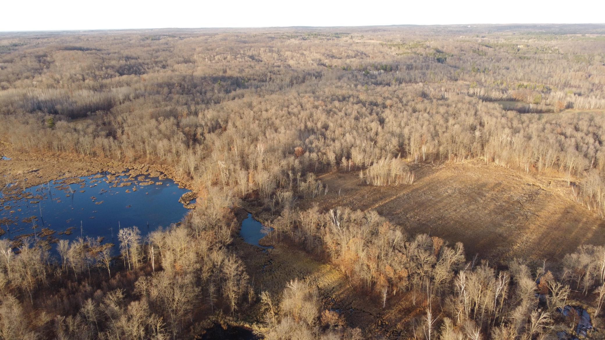 DJI_0548.JPG