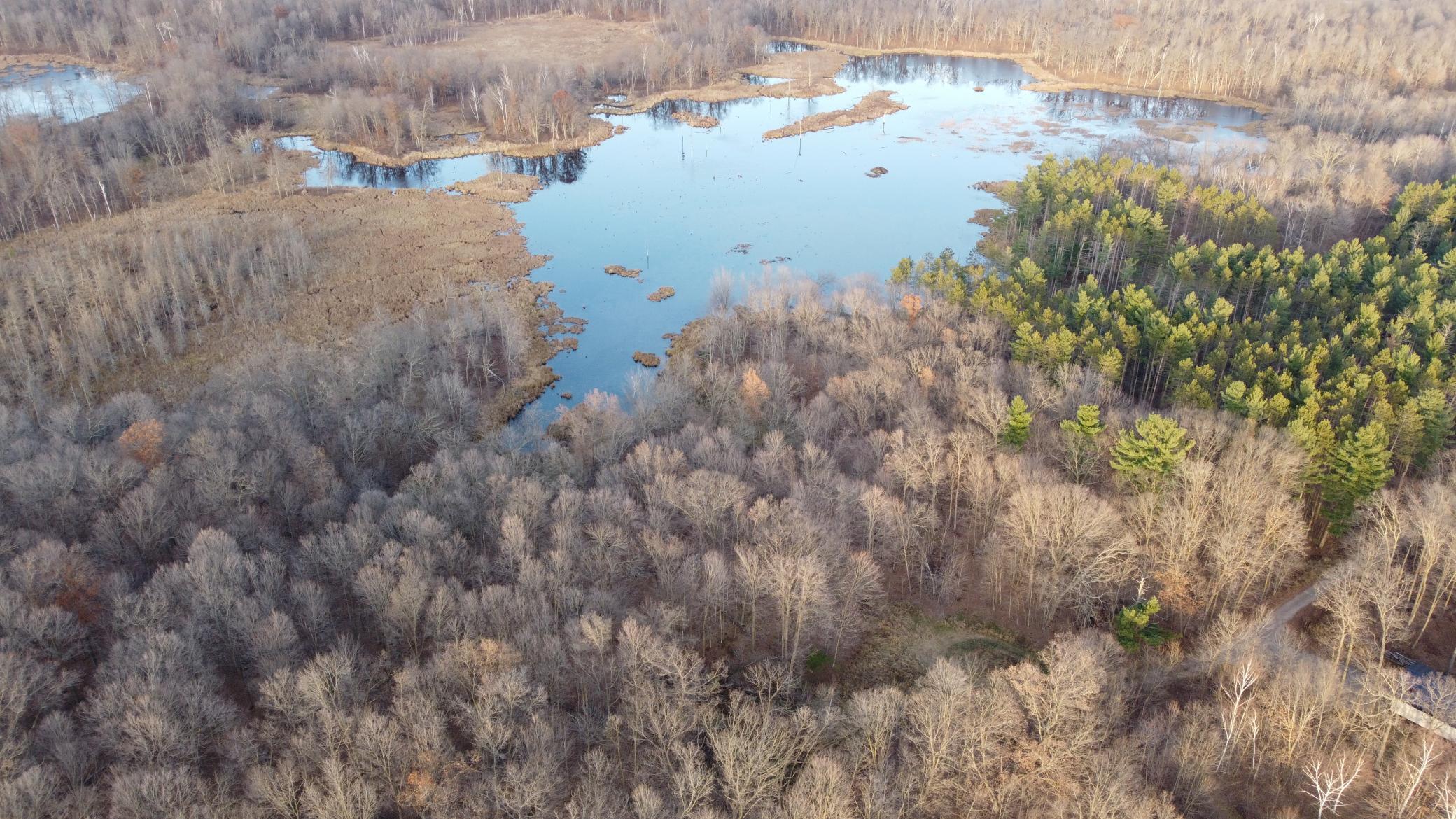 DJI_0565.JPG