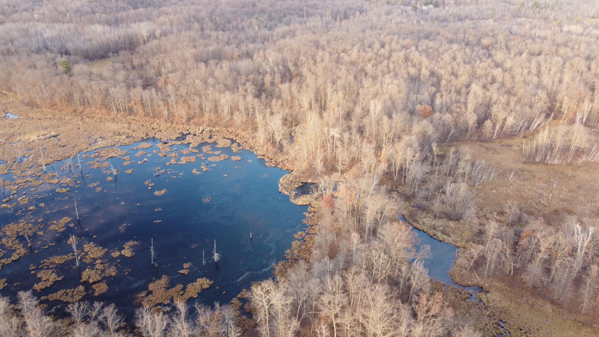 DJI_0576.JPG