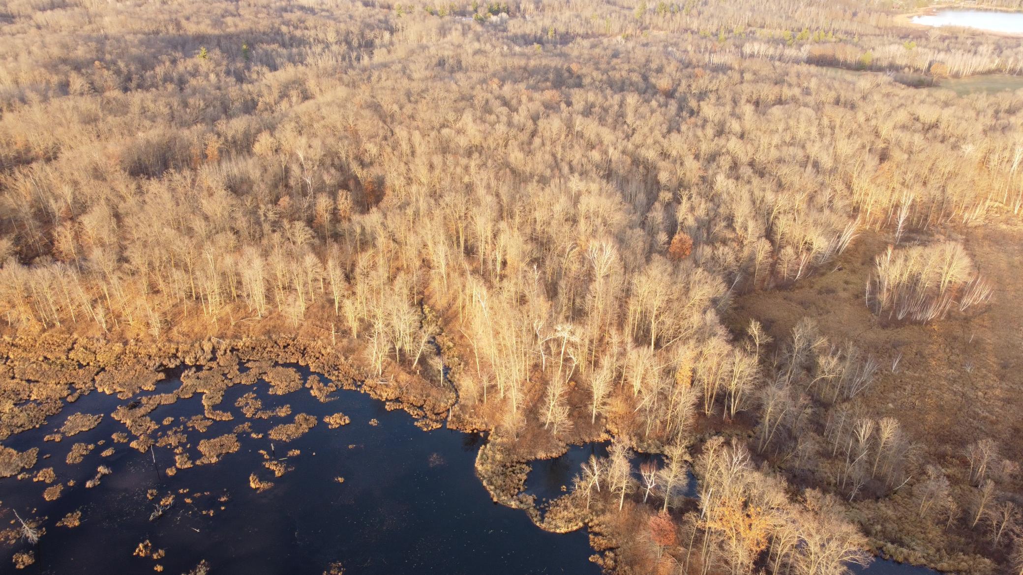DJI_0580.JPG