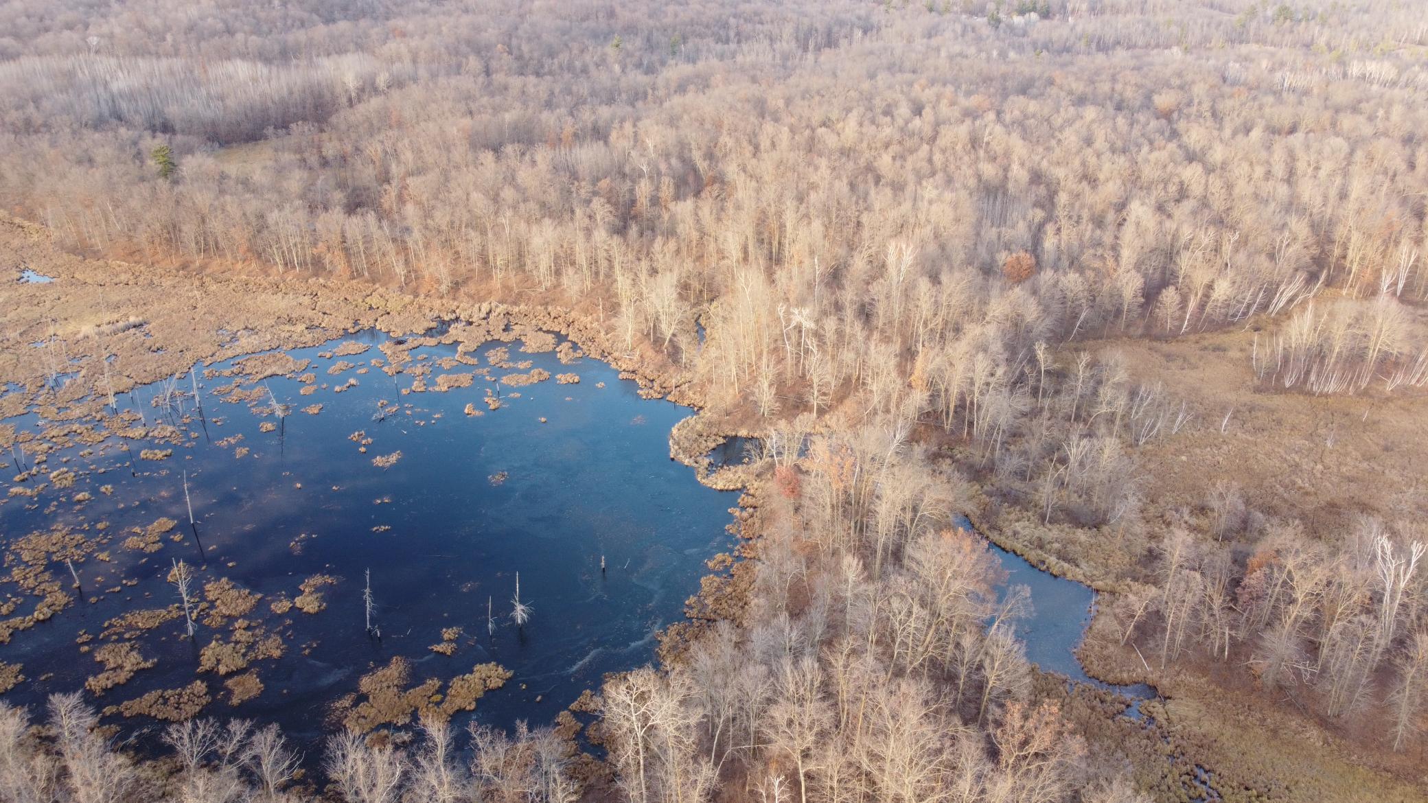 DJI_0575.JPG