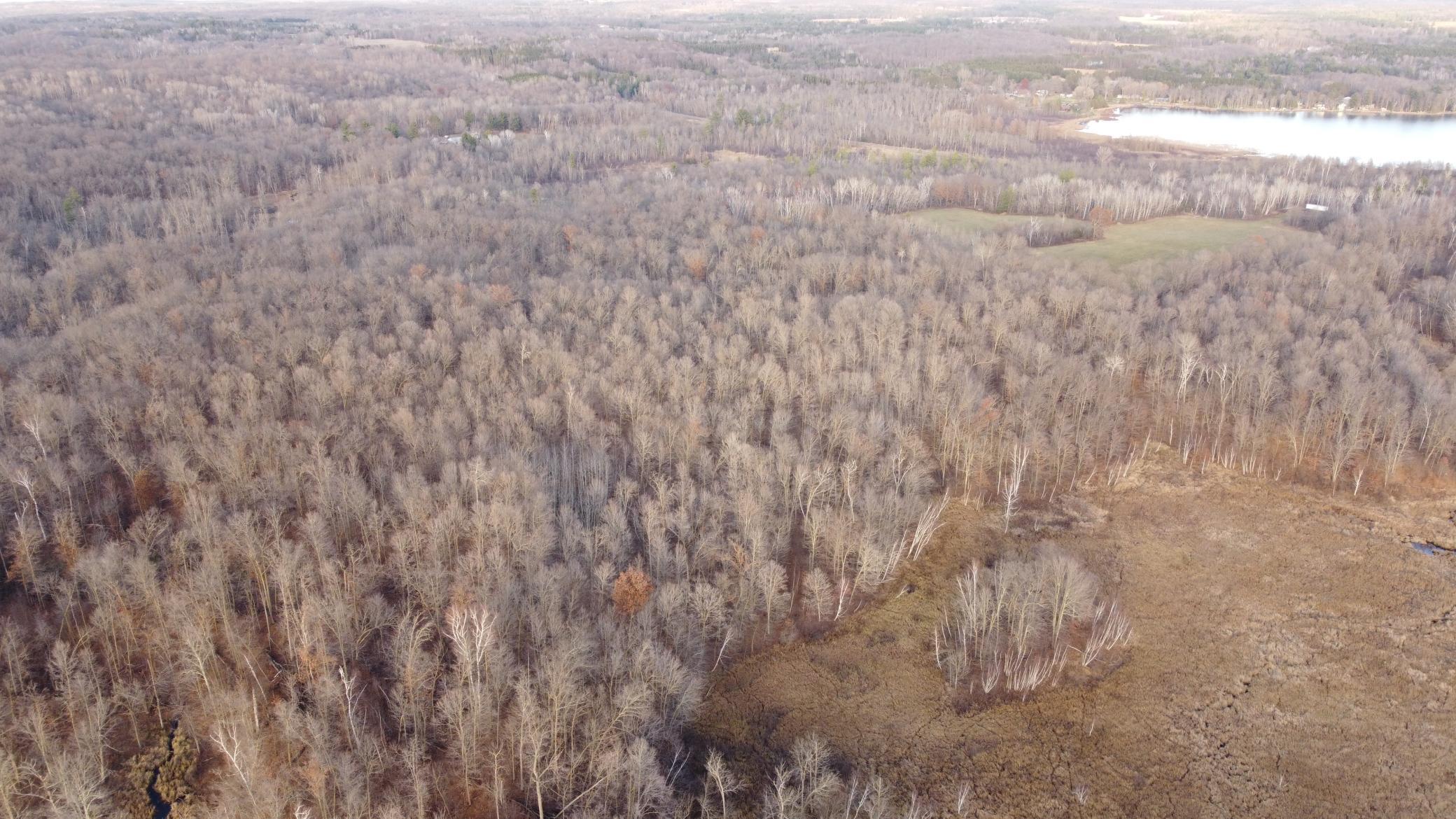 DJI_0560.JPG