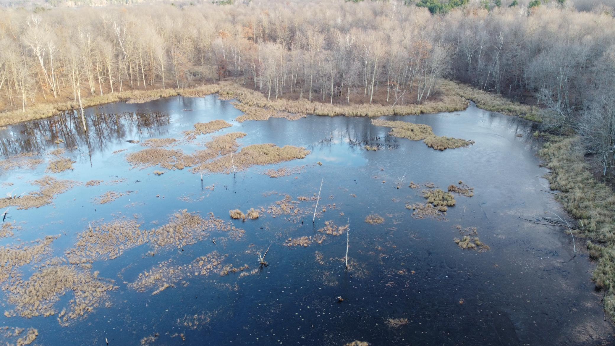 DJI_0567.JPG