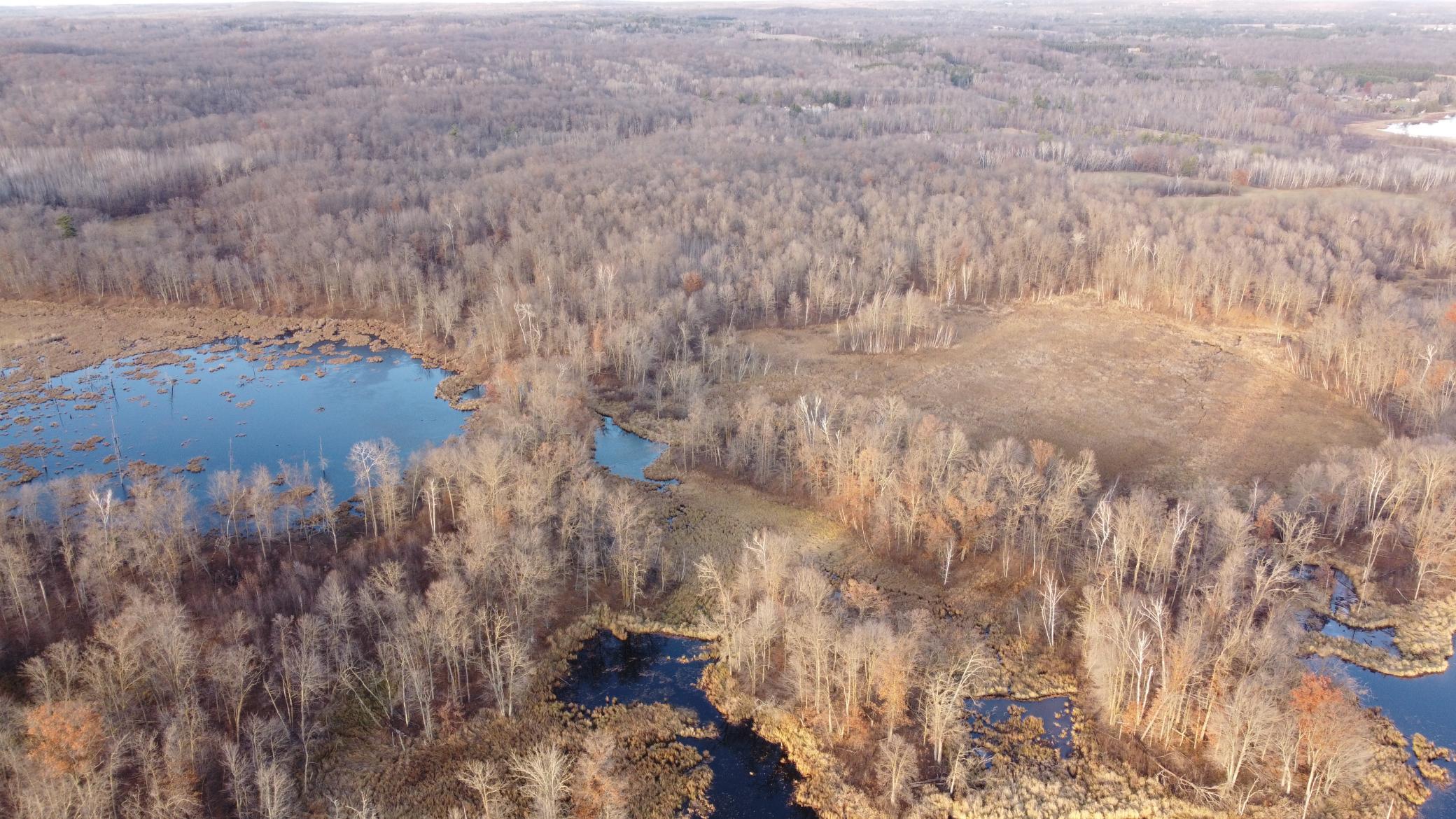 DJI_0562.JPG