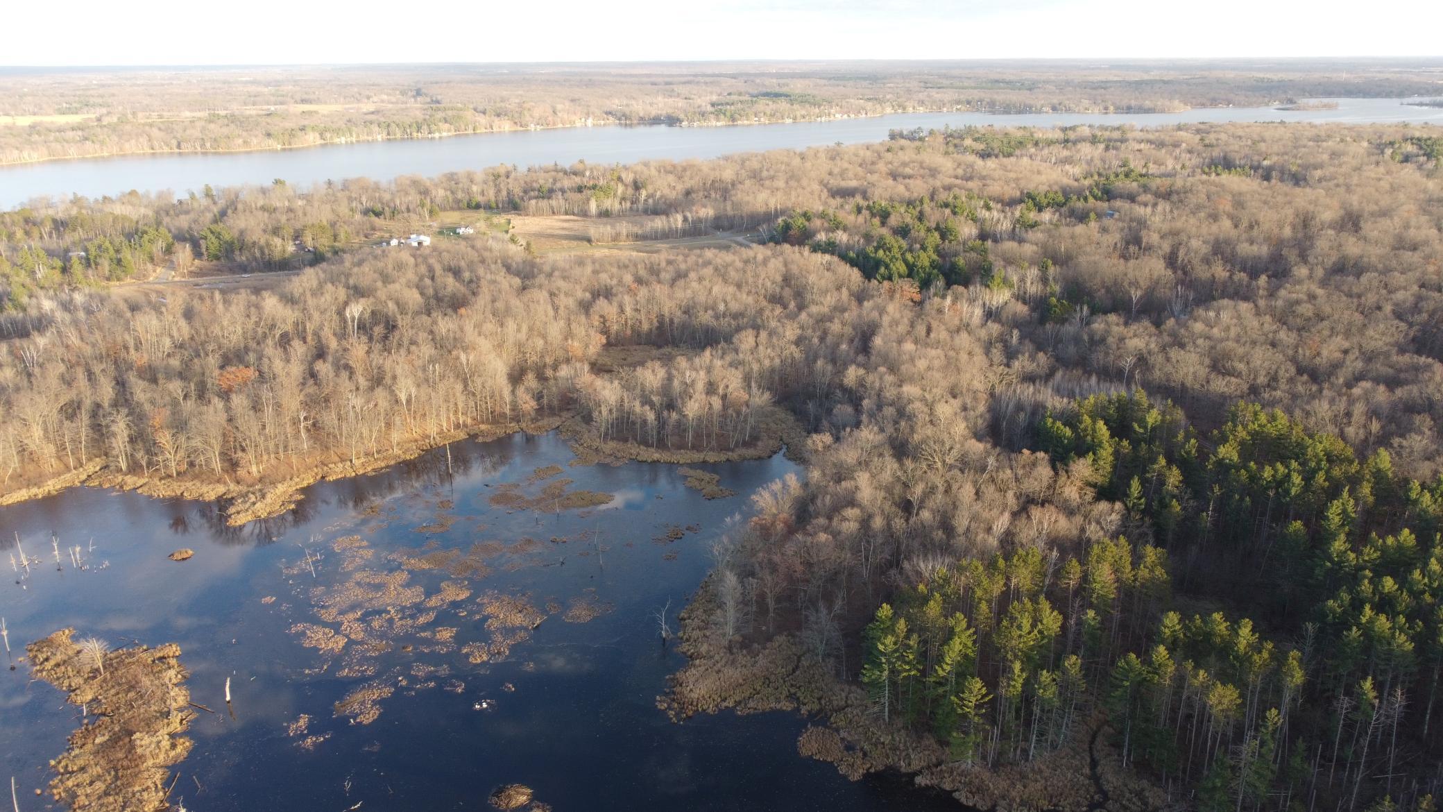DJI_0550.JPG