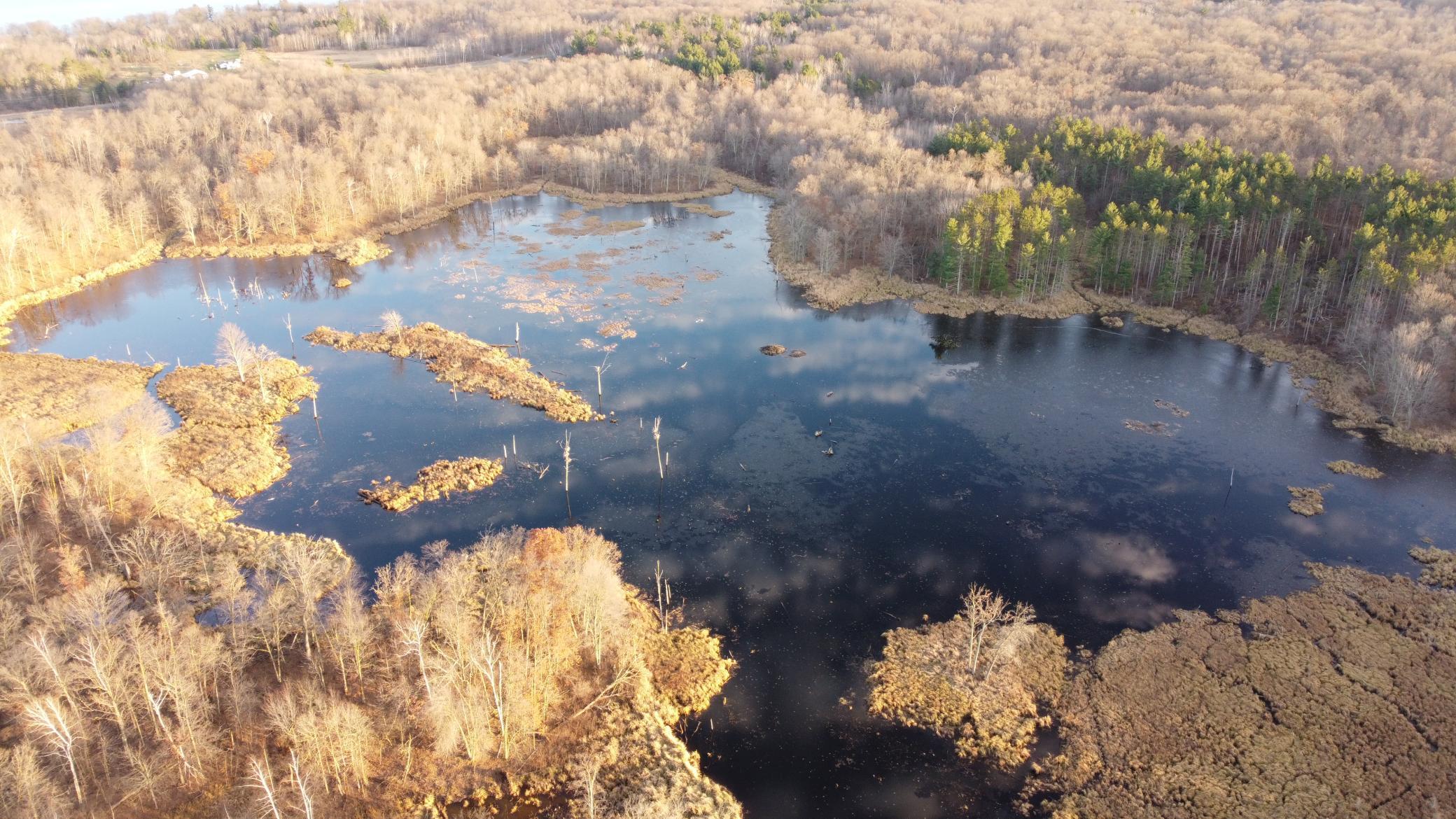 DJI_0583.JPG