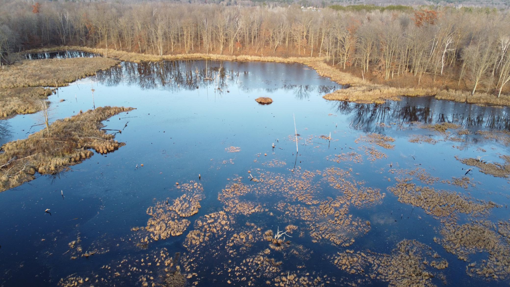 DJI_0568.JPG