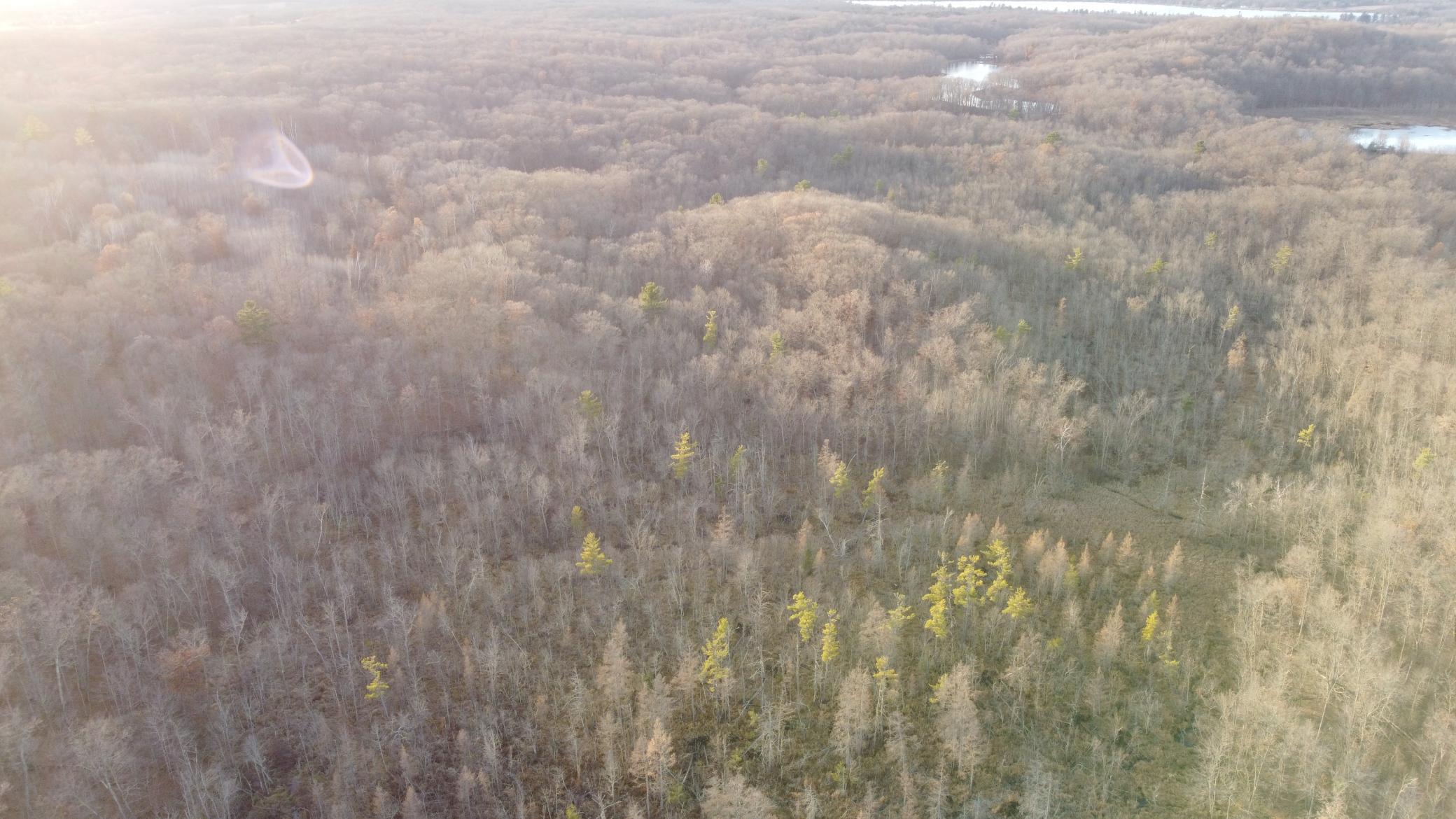 DJI_0546.JPG