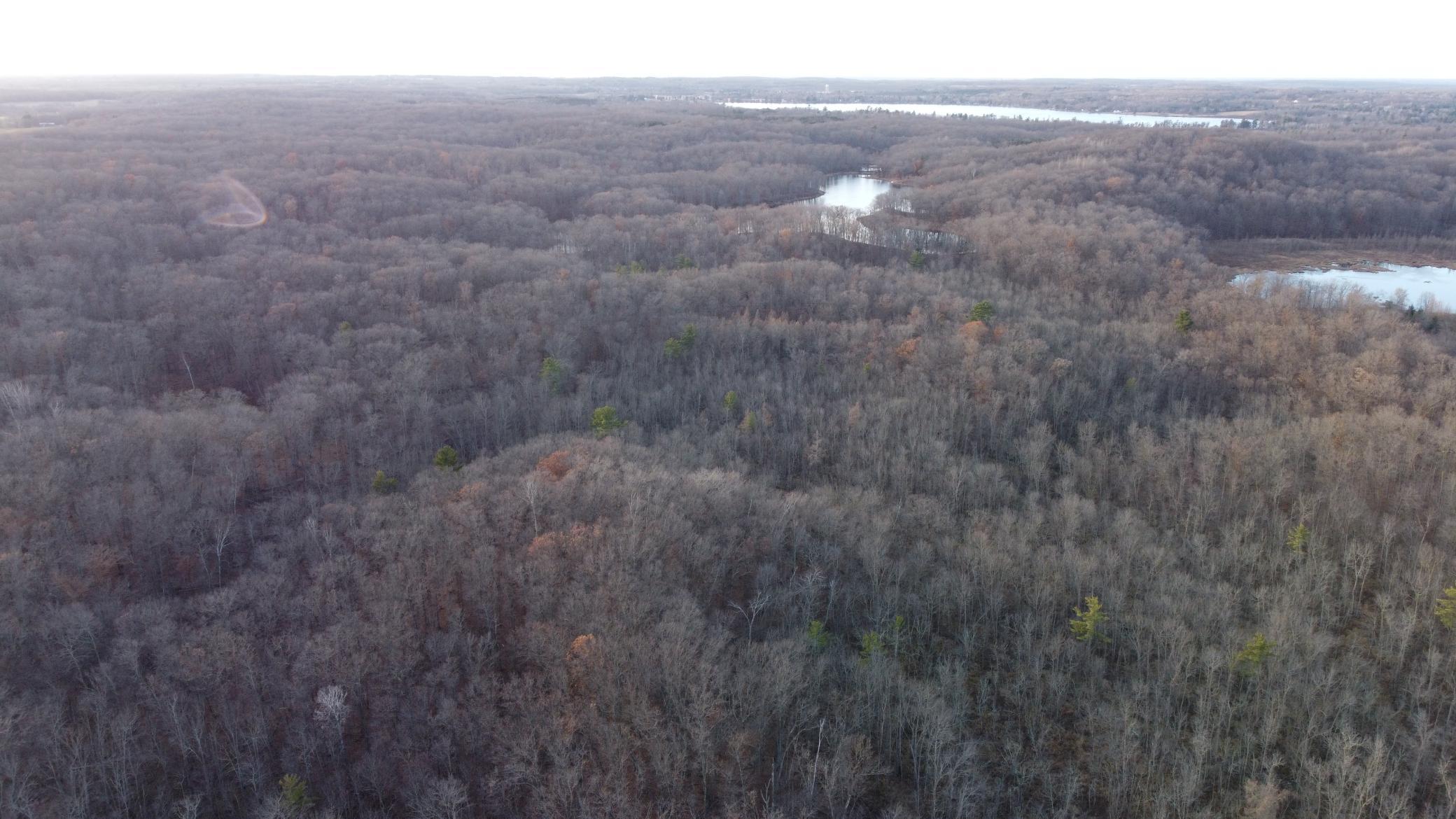 DJI_0553.JPG