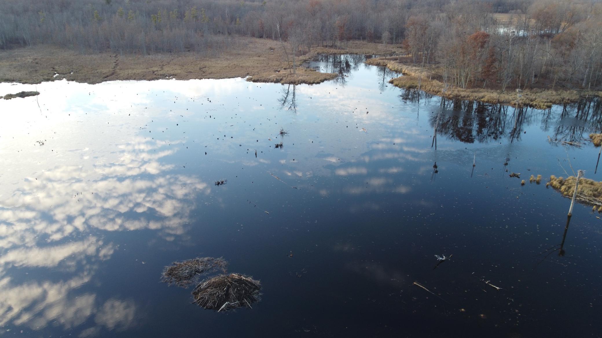 DJI_0571.JPG