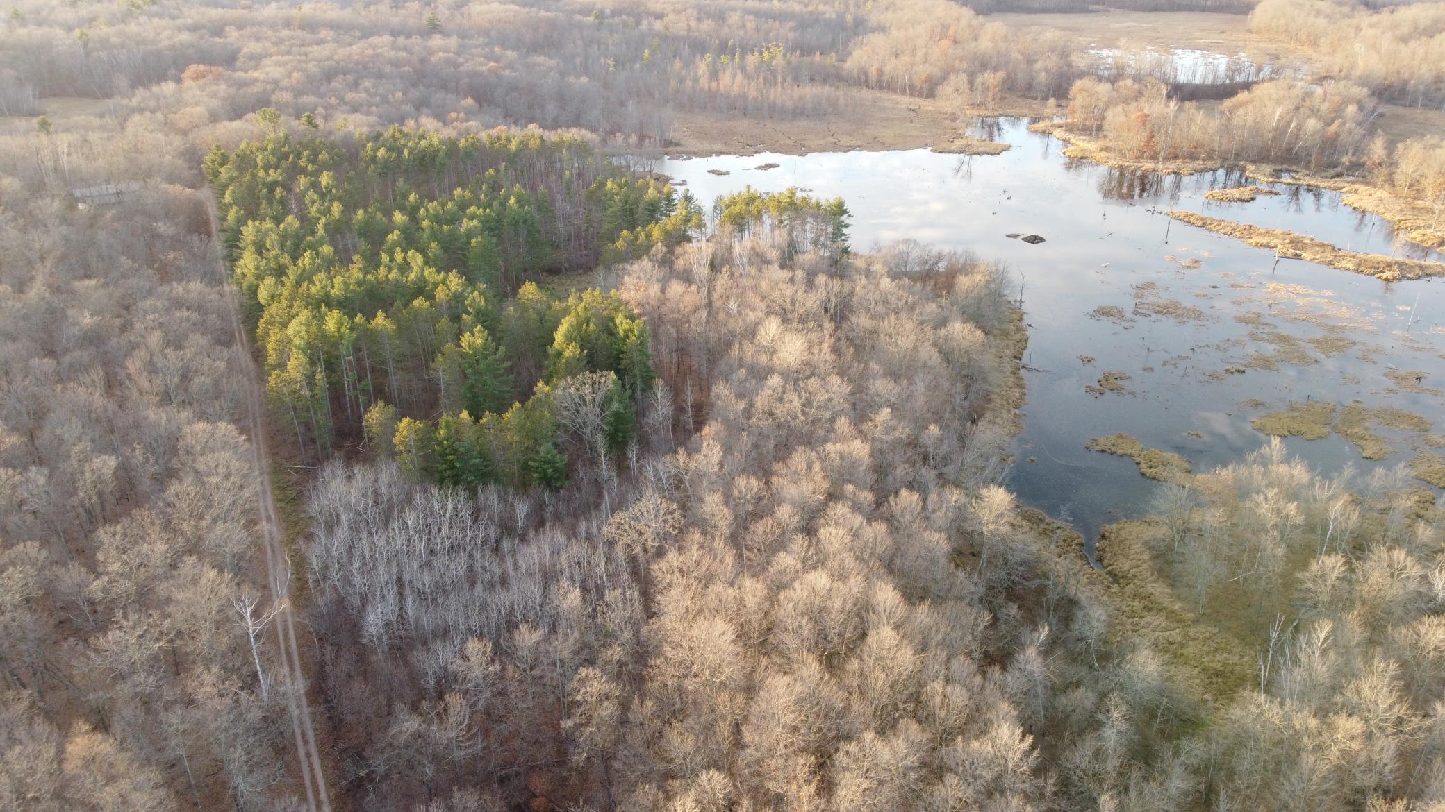 DJI_0585.JPG