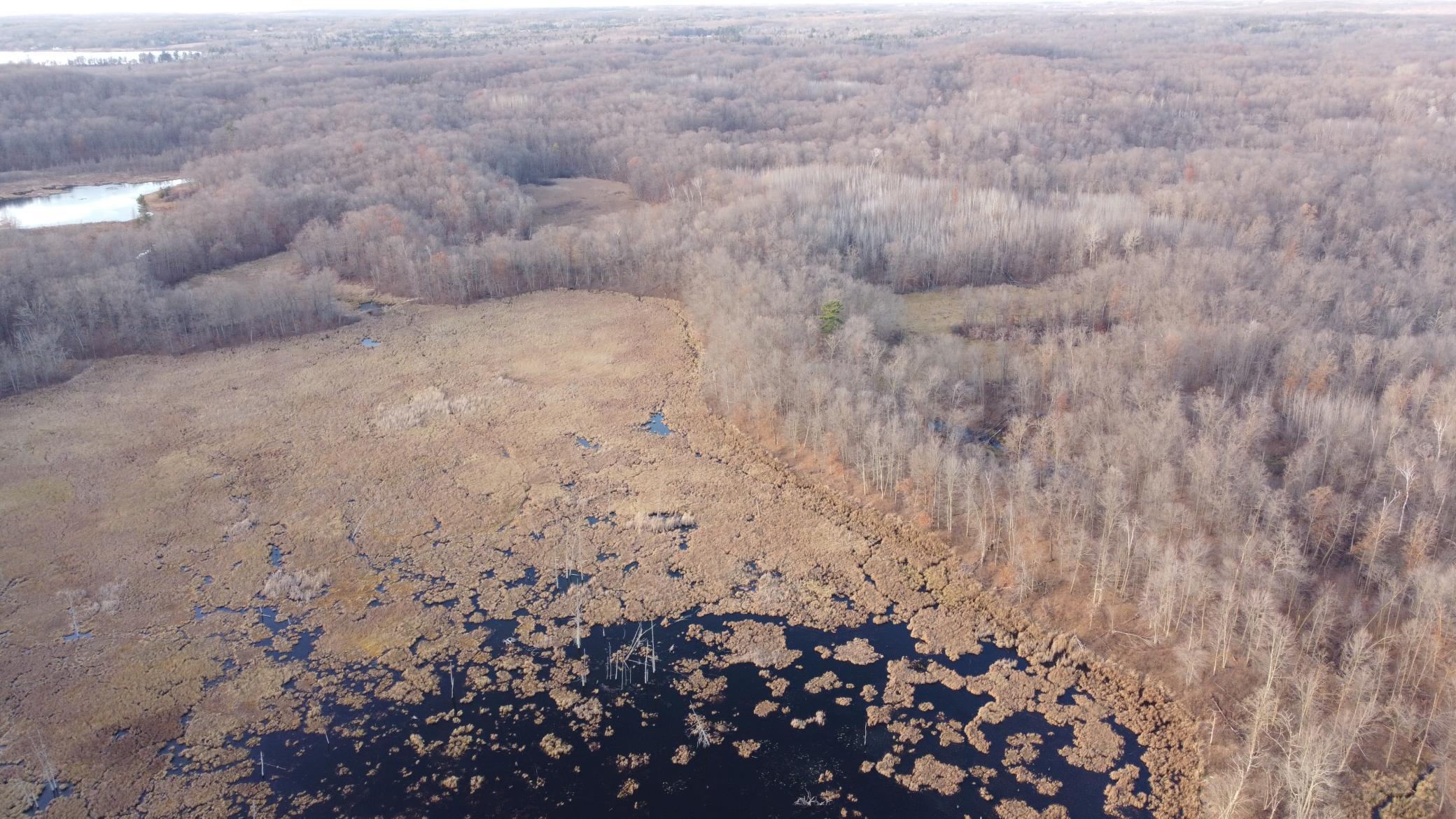 DJI_0558.JPG