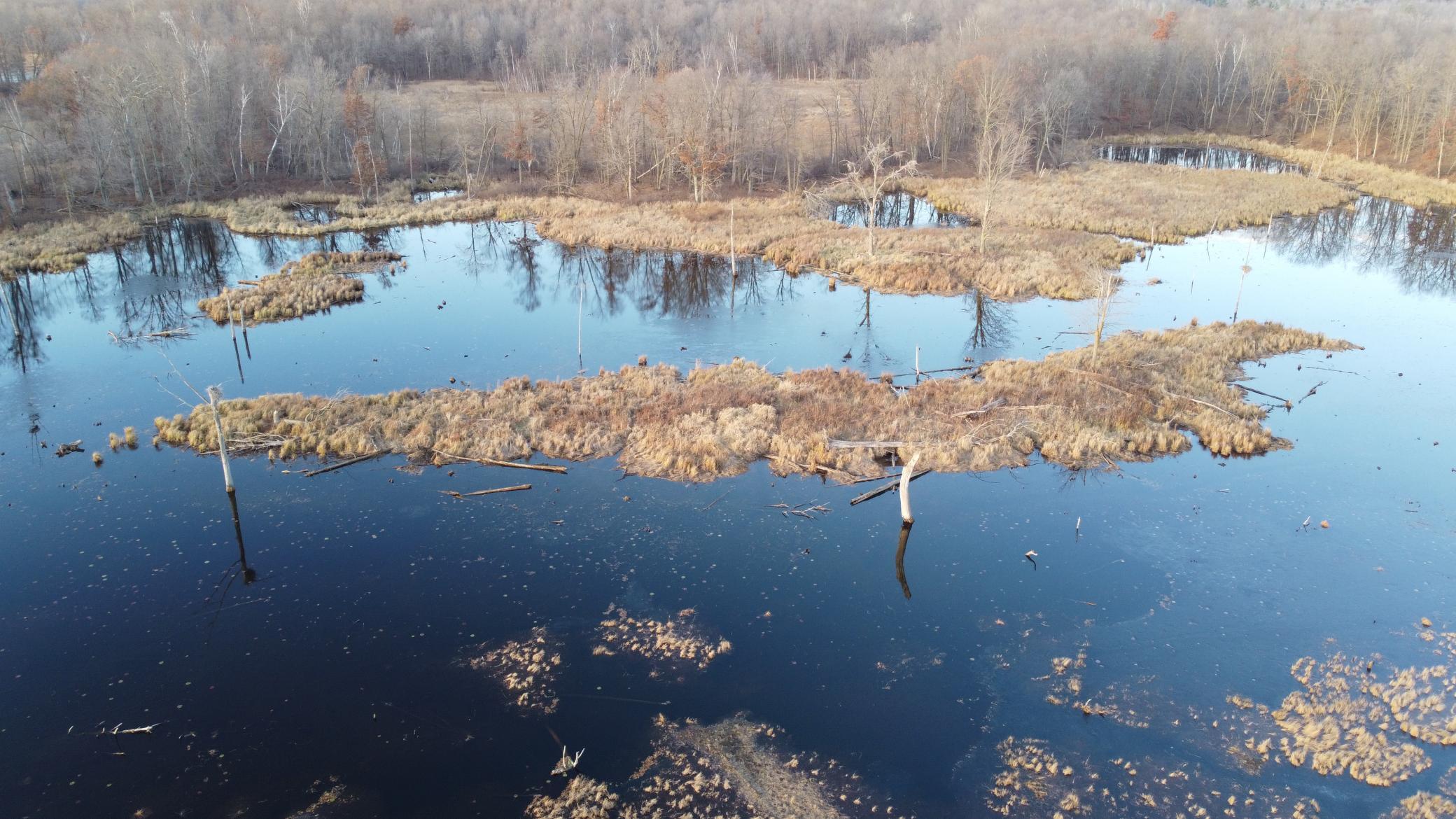 DJI_0570.JPG