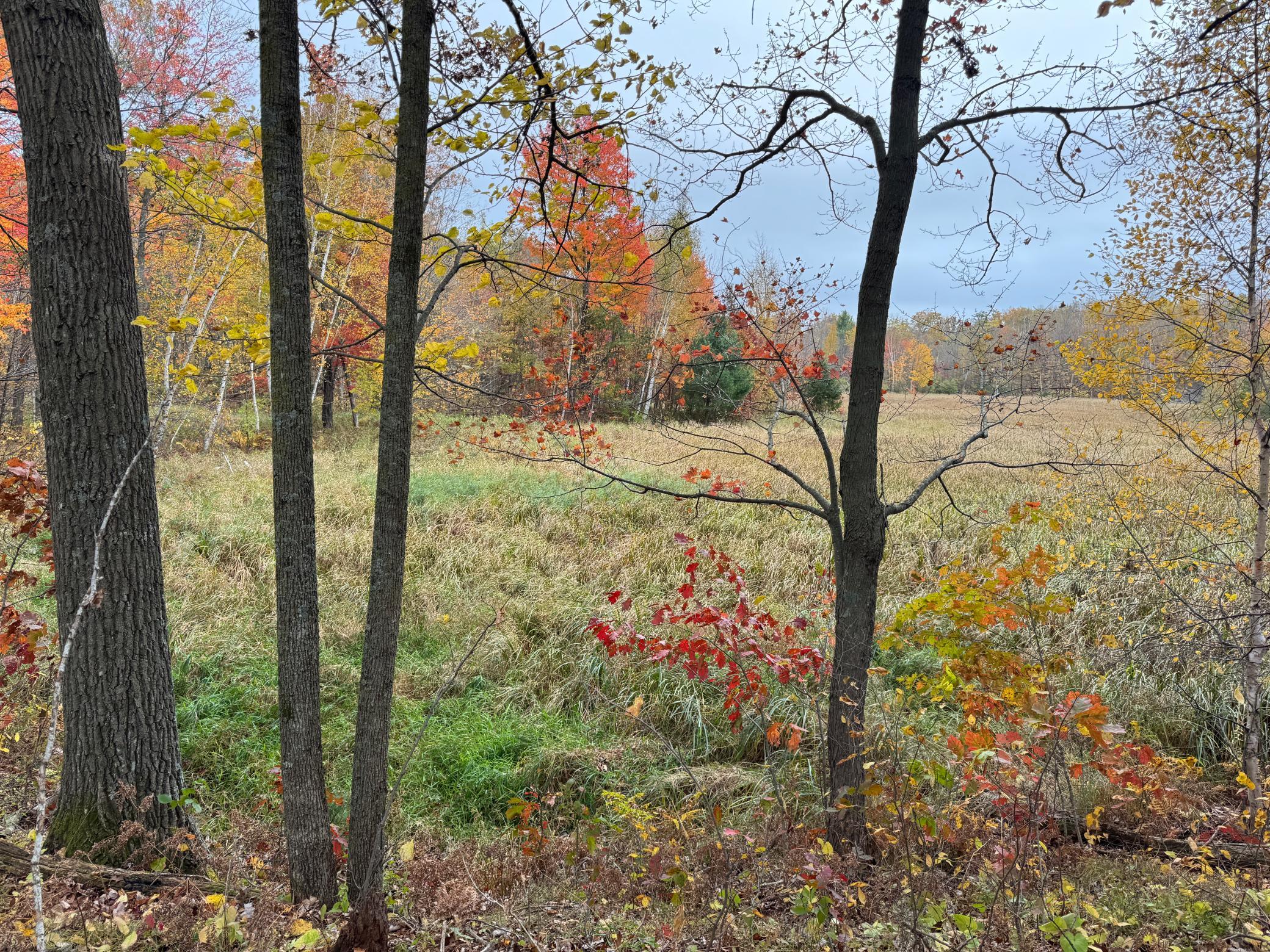 IMG_7354.JPG