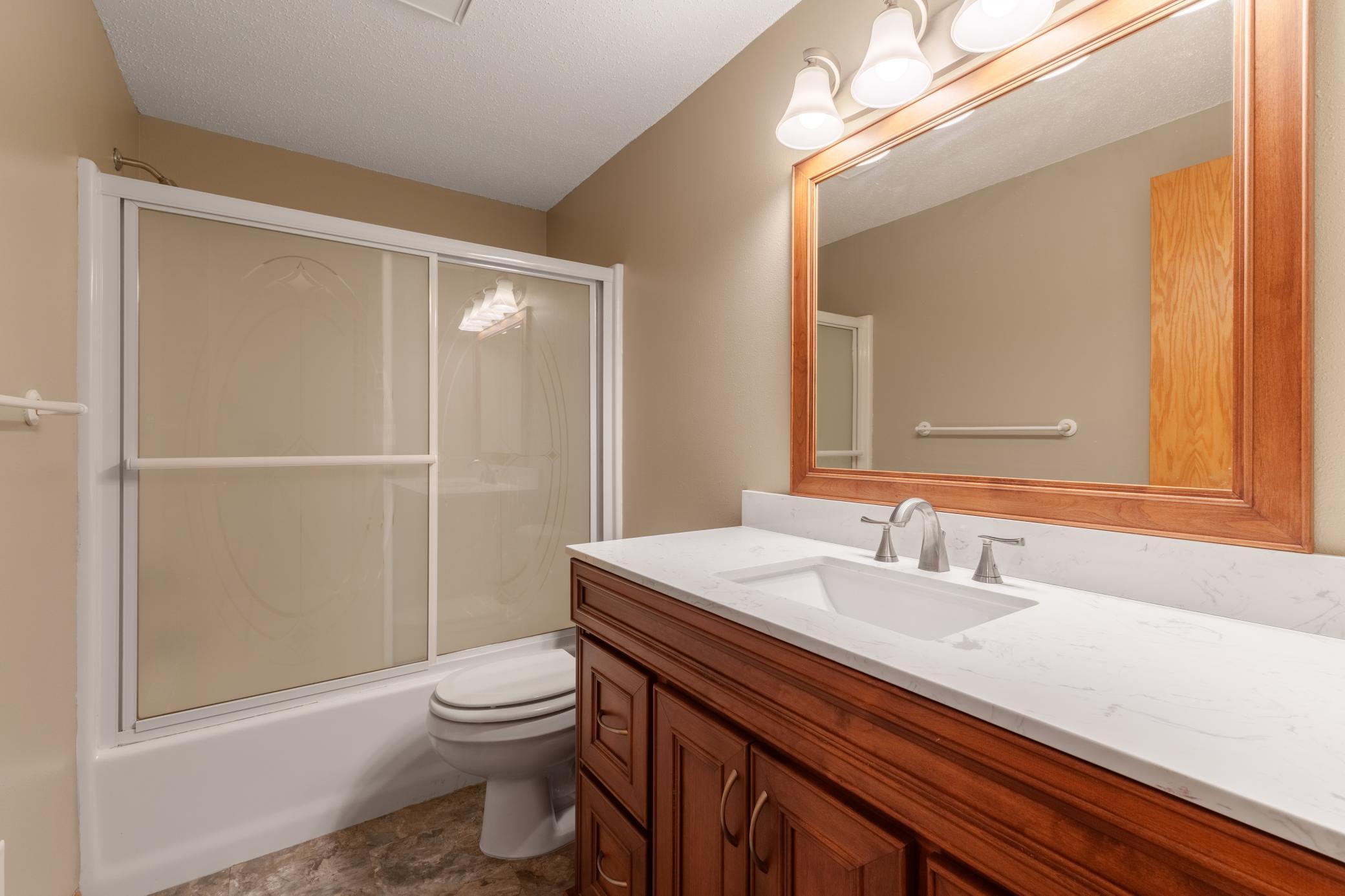 Lower Level Bathroom