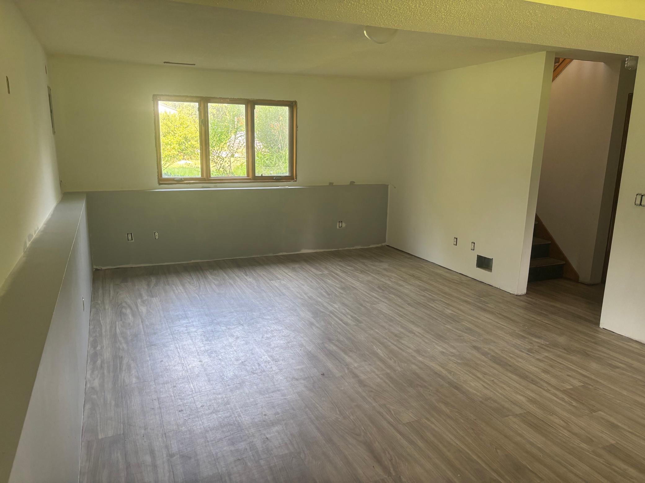 Lower Living Room