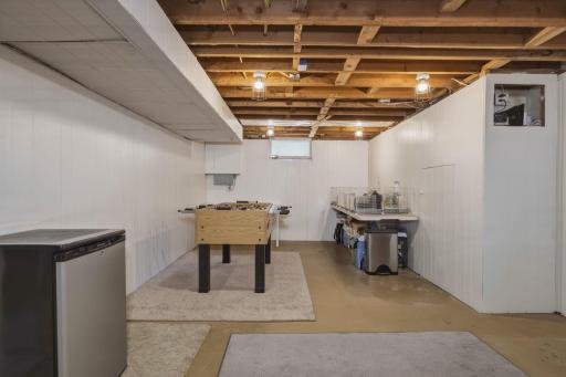 Lower Level Rec Room