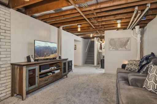 Bonus Lower Level Family Room!