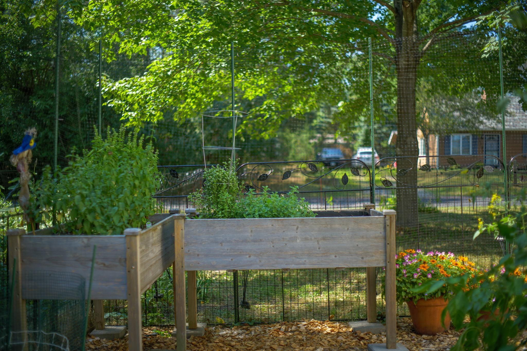 Raised garden beds keep your produce safe from bunnies!