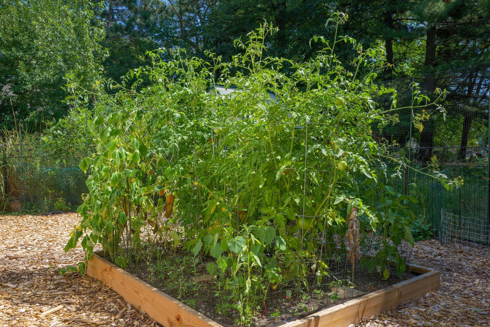Grow all your own produce in the expansive gardens!