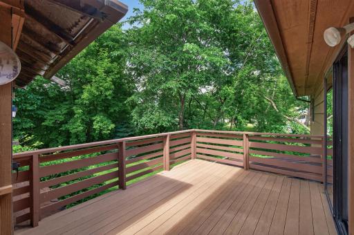 View from the back deck.