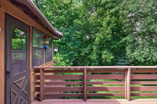 View from the back deck.