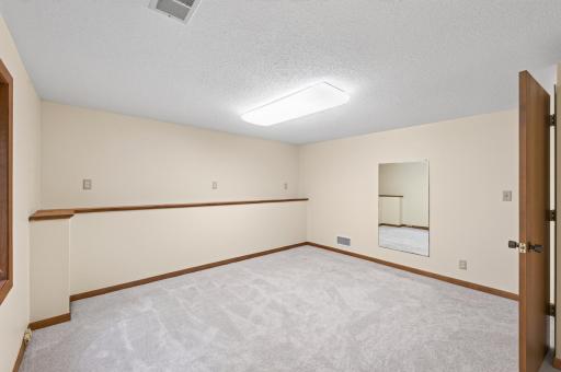3rd bedroom on lower level features walk-in closet.