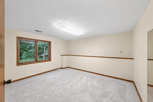 3rd bedroom on lower level features walk-in closet.