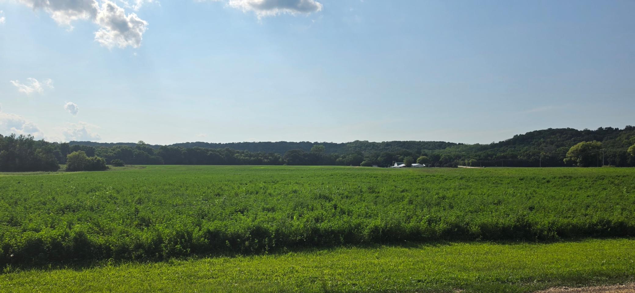 20260818_162323.jpg