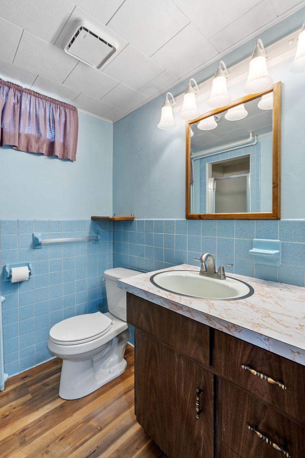 lower level bathroom