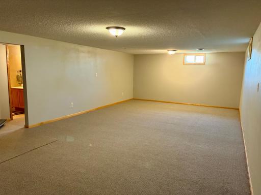 Lower Level Recreation room.jpeg