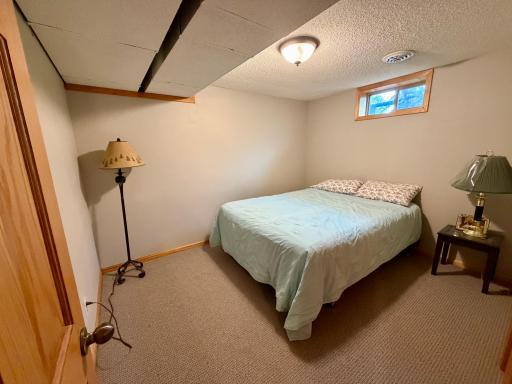 lower level non conforming bedroom.jpeg