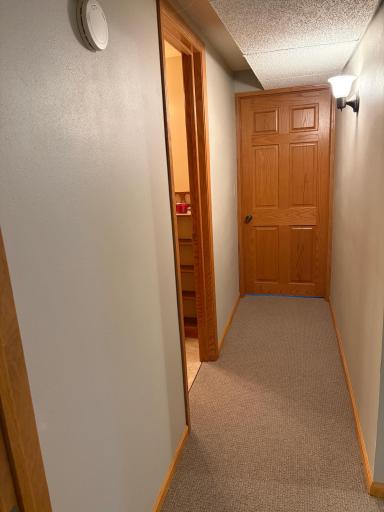 hall to Lower level bedroom.jpeg
