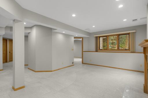 Lower level family room