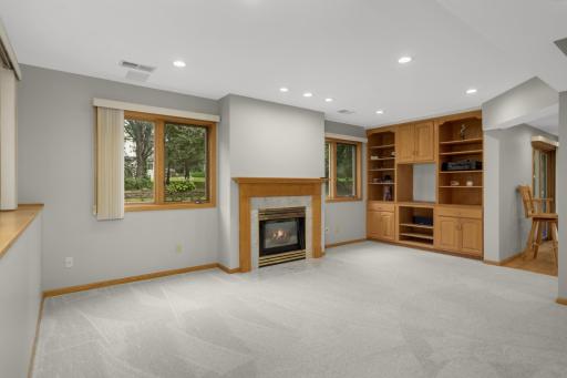 Lower level family room with built-ins