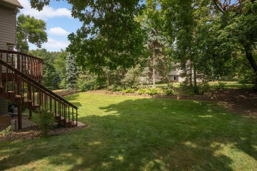 Terrific backyard!