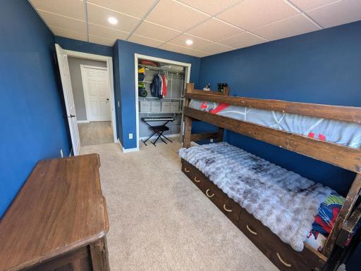   Lower Level Bedroom