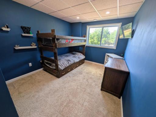    Lower Level Bedroom