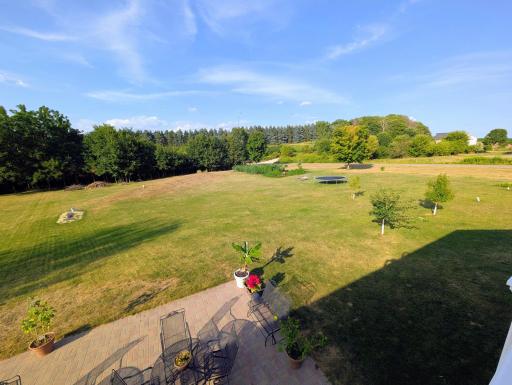 Backyard View