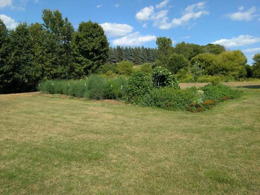 Large Garden Plot