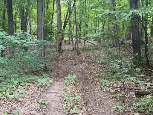 Path to back 8 acres